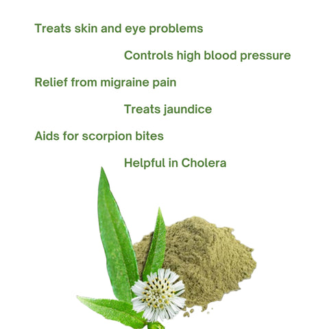 NATURAL BHRINGRAJ POWDER
