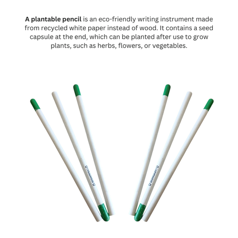 PLANTABLE WHITE PAPER PENCIL