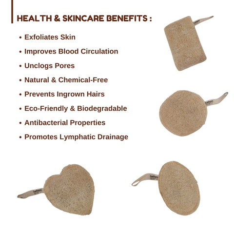 NATURAL LOOFAH COMBO (CIRCLE / HEART / OVAL / RECTANGLE)