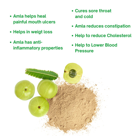 NATURAL AMLA POWDER