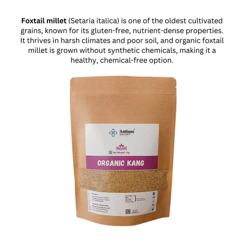 Organic Foxtail Millet (Kang) | Premium Golden Ancient Grain