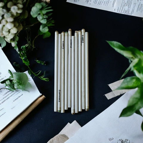 PLANTABLE WHITE PAPER PENCIL