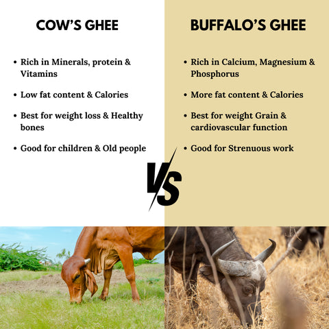 Premium Gir Cow A2 Bilona Ghee | Pure Organic Desi Ghee