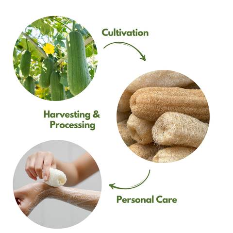 NATURAL CYLINDRICAL  LOOFAH