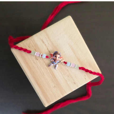 Eco Champion Brother/sister - Sustainable Sibling Rakhi Hamper