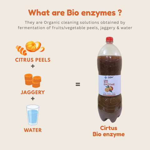 Citrus Pure Bio Enzyme | Natural Multi-Surface Cleaner