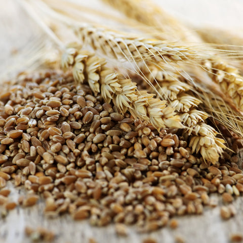 ORGANIC WHEAT WHOLE