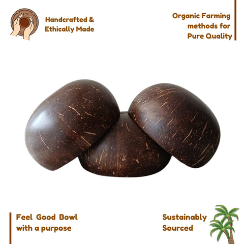 Coconut Bowl with Cutlery | Natural Handcrafted Eco-Friendly Bowl - 900ml (Set of 2)