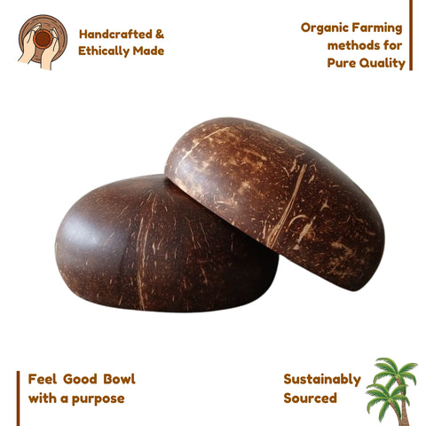 Coconut Bowl with Cutlery | Natural Handcrafted Eco-Friendly Bowl - 900ml (Set of 2)