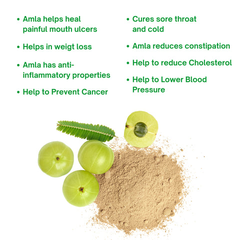 Organic Amla Powder | Natural Vitamin C Rich Immunity Booster & Hair Growth Supplement