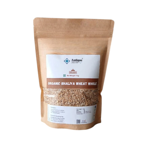 Premium Organic Bhaliya Wheat | Whole Wheat Grains