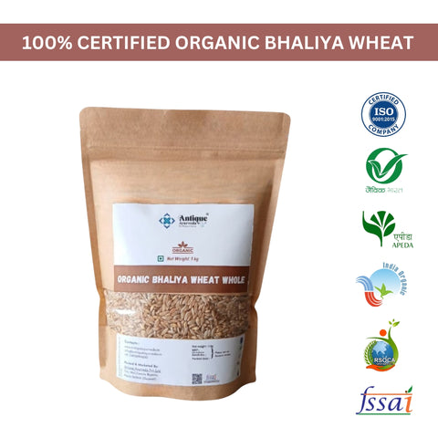 Premium Organic Bhaliya Wheat | Whole Wheat Grains