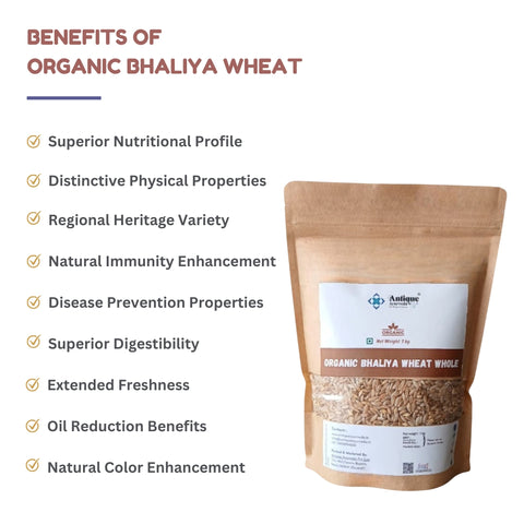 Premium Organic Bhaliya Wheat | Whole Wheat Grains
