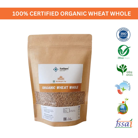 Premium Organic Whole Wheat (Gehun) |  Chemical-Free Grain