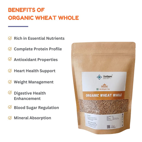 Premium Organic Whole Wheat (Gehun) |  Chemical-Free Grain
