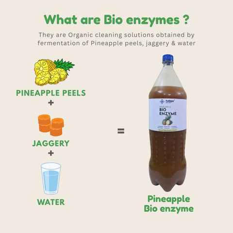 Pineapple Pure Bio Enzyme | Bio-Active Cleaning Solution