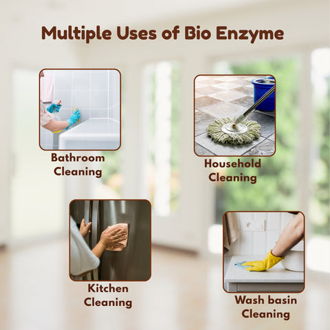 Pineapple Pure Bio Enzyme | Bio-Active Cleaning Solution
