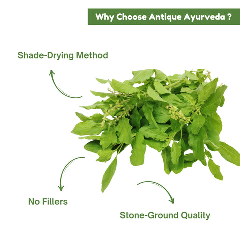 Tulsi Leaves Powder (Holy Basil)