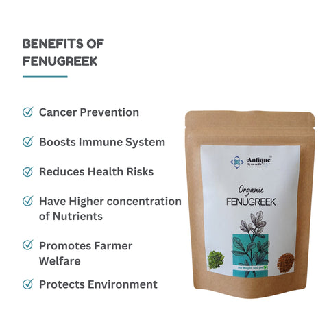 Organic Fenugreek Seeds (Methi) | Premium Quality | 500 GM