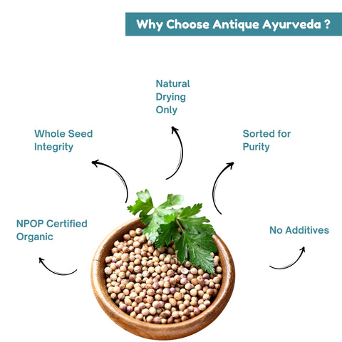 Organic Coriander Whole Seeds (Dhaniya)