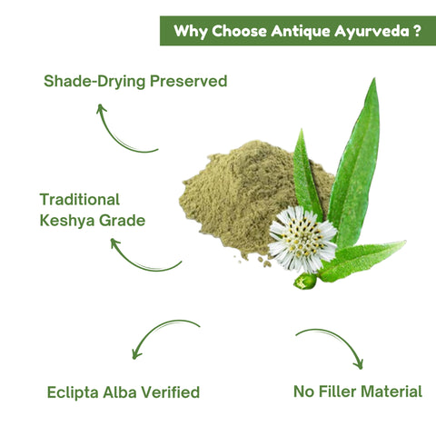 Bhringraj Powder (Eclipta Alba) | Natural Hair Care