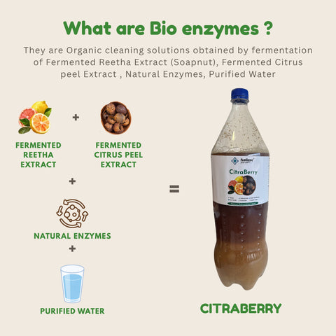 CITRABERRY - Natural Dishwashing Liquid