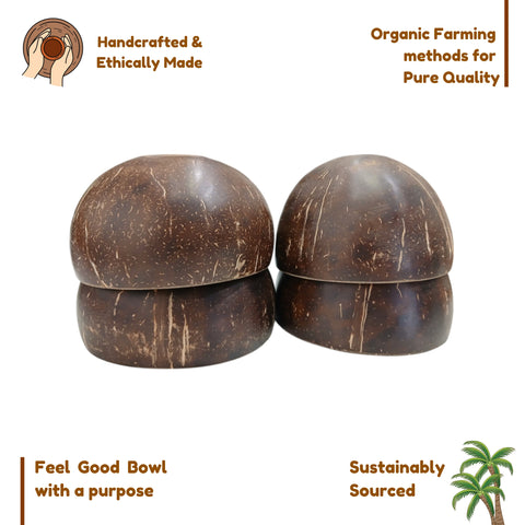 Handcrafted Natural Coconut Shell Bowl  | Sustainable Dining Bowls
