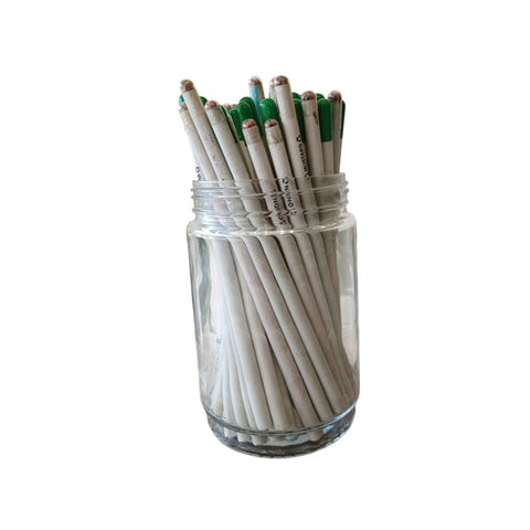 Plantable Seed Paper Pencil | Eco-Friendly Writing Pencil