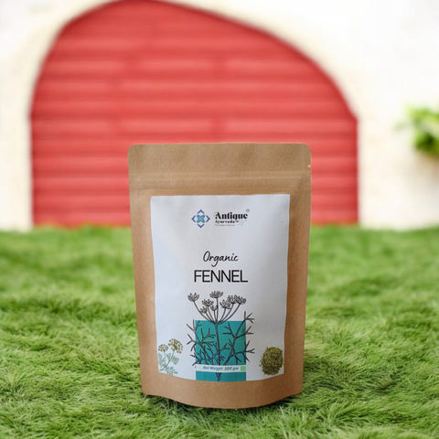 Organic Fennel Seeds (Saunf/Variyali) | Premium Quality | 300 GM