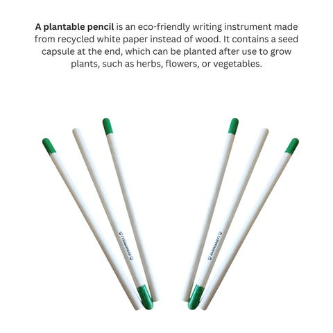 Plantable Seed Paper Pencil | Eco-Friendly Writing Pencil