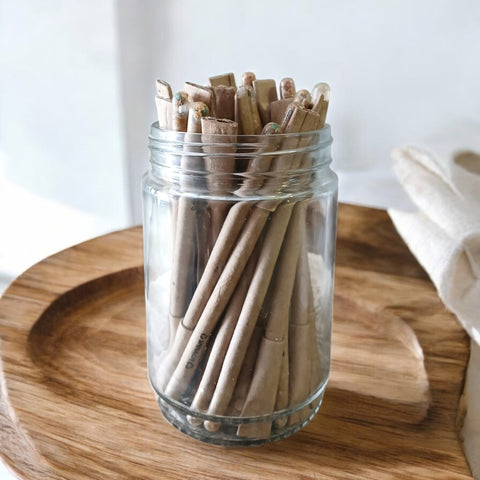 Plantable Seed Paper Pen | Eco-Friendly Writing Pen That Grows Plants